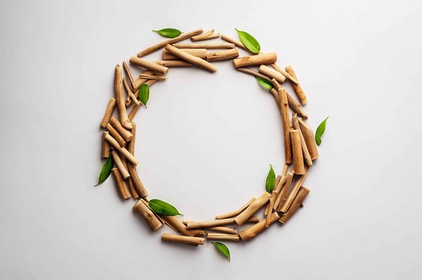 Quelle est la meilleure méthode pour conserver l'eau dans les plantes d'intérieur ?